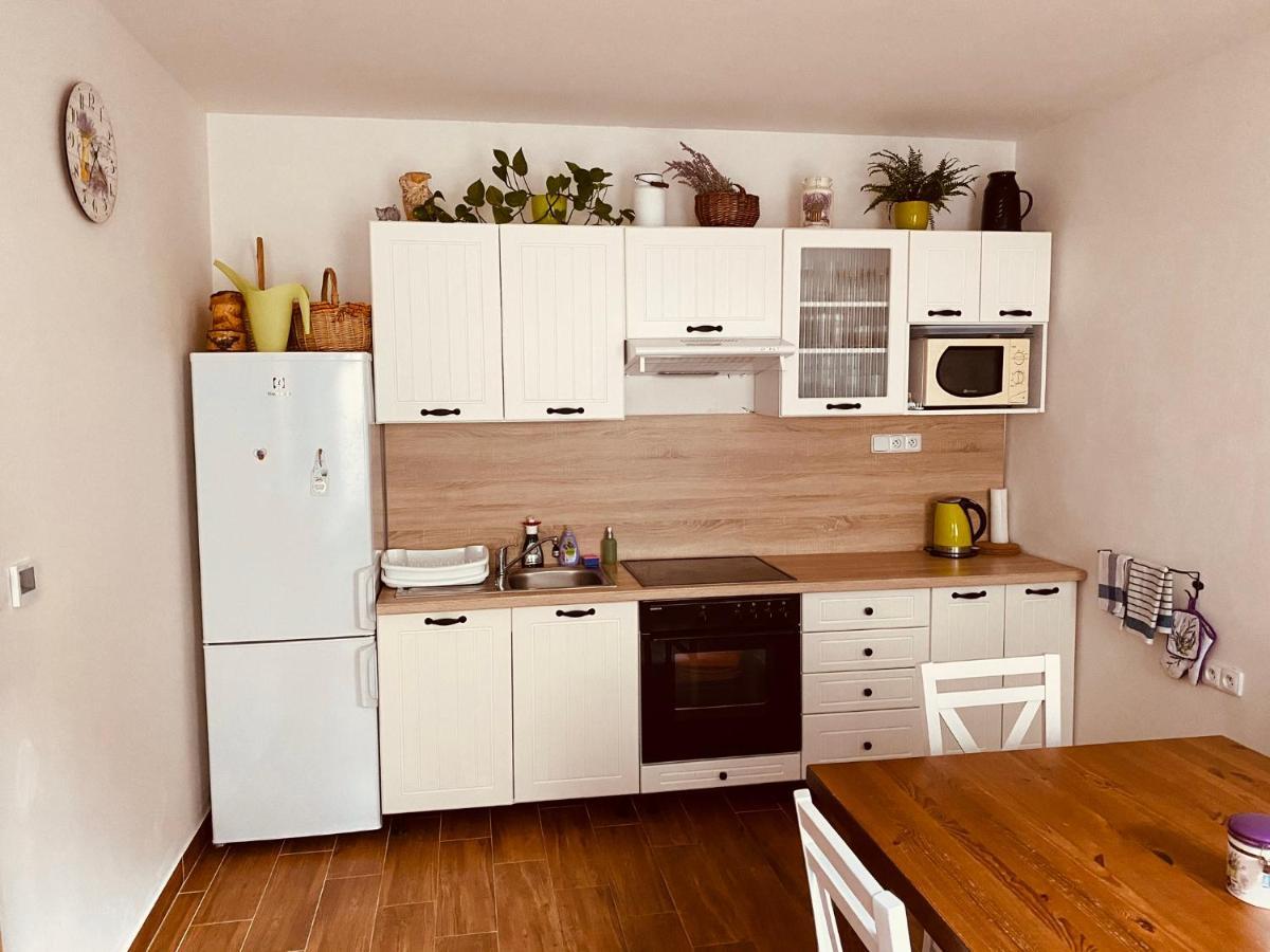 Apartman Pod Bozim Darem Jachymov Exterior photo