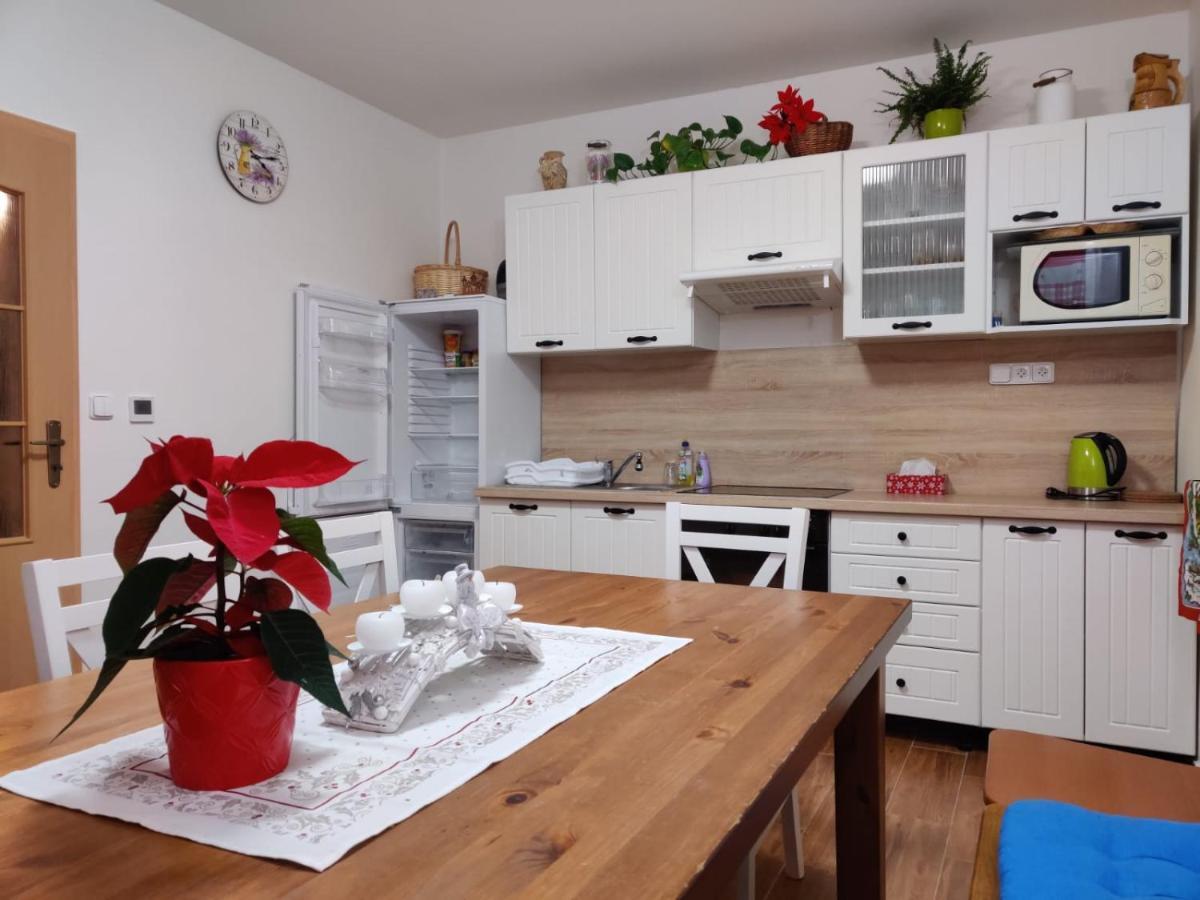 Apartman Pod Bozim Darem Jachymov Exterior photo